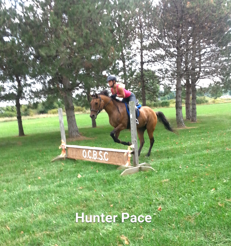 PARNELL-HUNTERPACE01